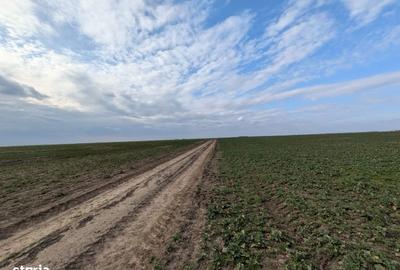 Teren de 300 mp, în Vărăști - 3