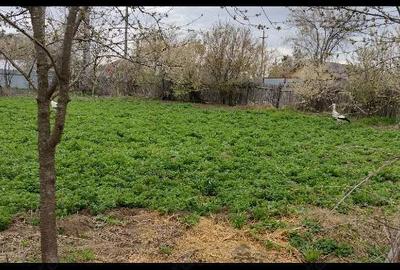 Teren si casa de vanzare Teren si casa de vanzare - 5