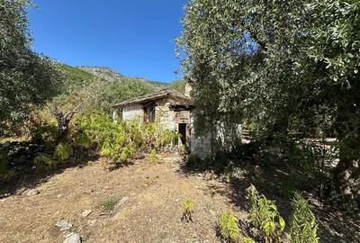 Teren intravilan pe insula Thassos, aproape de plaja salbatica - 8