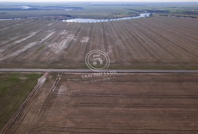 Teren Construcții intravilan de 17500 mp, în Frumușani - 7