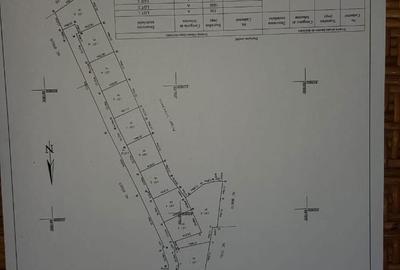 Spațiu comercial, în Dancaș - 3