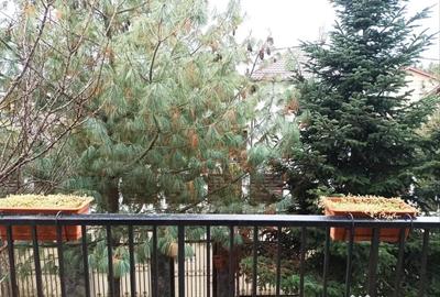 Casă cu 5 camere în Brănești - 6