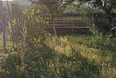 Casă cu 4 camere cu Teren 1000 Mp în Poienari (Poienarii de Argeș) - 5