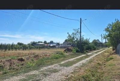 Teren de 1500 mp, în Broșteni (Costești) - 1