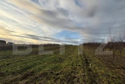 Teren de 3300 mp, în Șimleu Silvaniei - 1