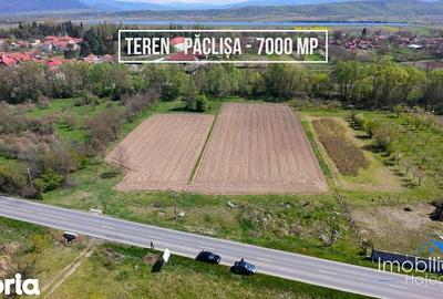 Teren de 6870 mp, în Totești - 3