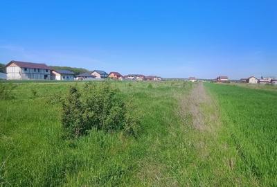 Spațiu comercial, în Joița - 6