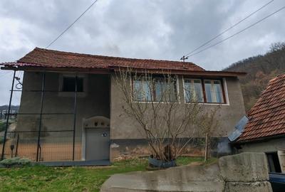 Casă individuală cu 4 camere cu Teren 12000 Mp în Rapoltu Mare - 3