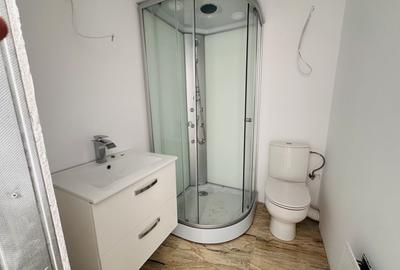 Super vila, 150 mp construiti, 355 mp, UVERTURII-IULIU MANIU - 11