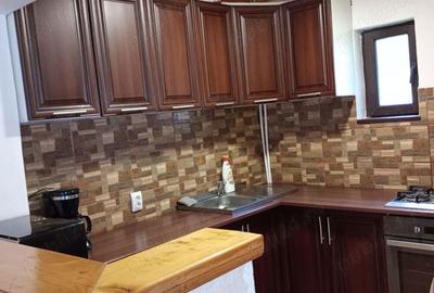 Casă în Beliș - 10