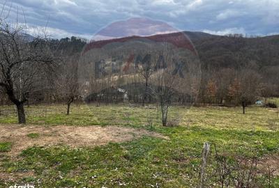 Teren de 12458 mp, în Meteș - 1