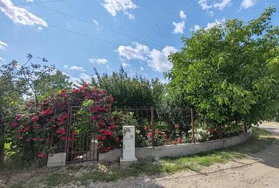 Teren de 500 mp, în Ciorogârla - 3