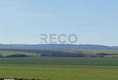 Spațiu comercial, în Tăut - 3