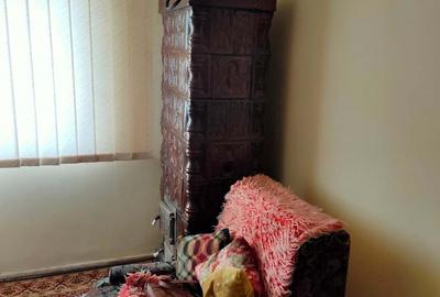 Apartament cu 2 camere în Moldova Nouă - 9