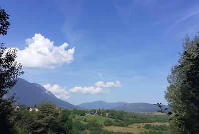 Teren de vanzare 4.500 mp  Predelut, Bran! Ideal pentru case de vacanta, glampi - 2