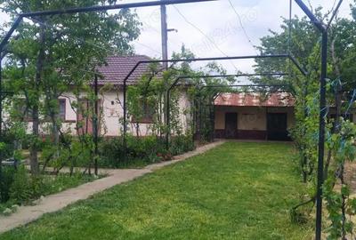 Casă cu 4 camere în Coșoveni - 4