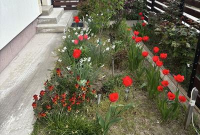 Casă cu 3 camere în Smeura - 5