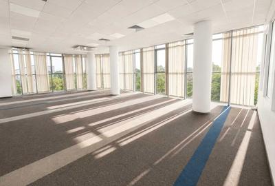 Spațiu comercial, de 350 mp, în Central - 1