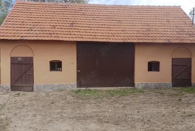 Casă cu 5 camere cu Teren 200000 Mp în Șerel - 5