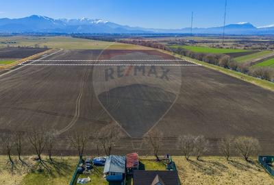 Teren agricol extravilan de 10000 mp, în Bod - 2