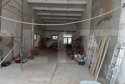 Spatiu industrial, hale in Unirea - 1