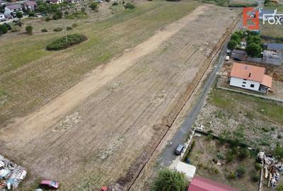 Comision 0% Parcela teren Mosita - Toate utilitatile + Asfalt - 5