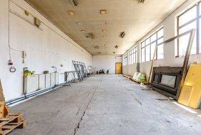 Spațiu comercial, de 115 mp, în Aradul Nou - 1