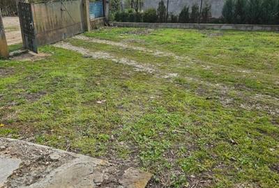 Casă individuală cu 3 camere cu Canalizare în Ceanu Mic - 19