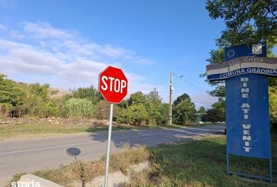 Teren de 4000 mp, în Grădina - 6