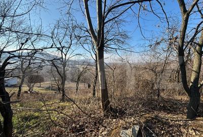 Teren intravilan de vanzare, 17700 mp Zalau - 1