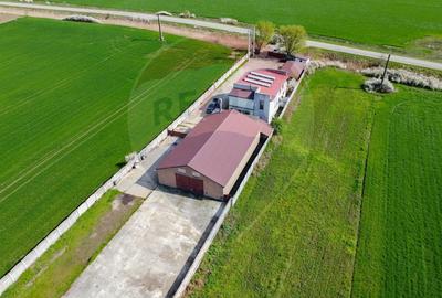 Casa + teren + hala de vanzare in Beregsau - 0% Comision - 3
