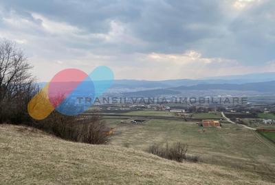 Teren Construcții intravilan de 2019 mp, în Dâmbul Rotund - 1