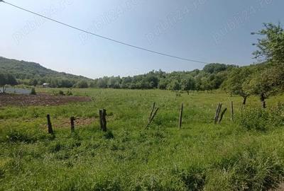 Oferta luna aceasta! Teren 10000 mp in Corbi Arges - 3