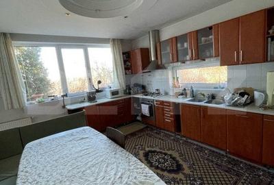 Exclusivitate! Vila cu 6 camere, 500 mp, zona Platou - 19