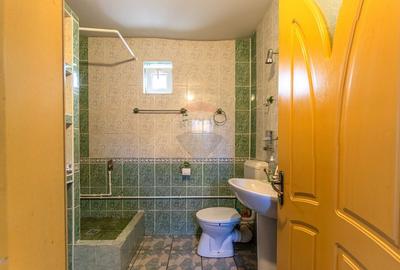 Proprietate mixta cu spatiu comercial si locuinta Strada Aurel Vlaicu - 20