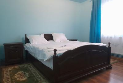 Casă cu 4 camere cu Teren 1400 Mp în Silvașu de Jos - 6