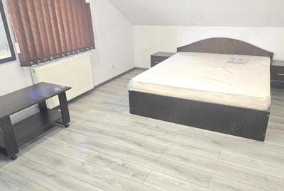 Inchiriez apartament cu 4 dormitoare, GARAJ in Vila, zona Liliacului, P+E+M, - 15