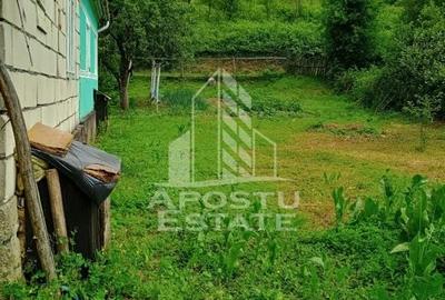 Casa bătrânească de vânzare | 4 camere | Hunedoara | Micănești - 37