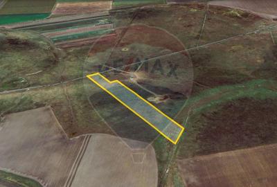 Teren agricol extravilan de 50000 mp, în Est - 20