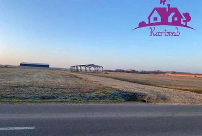 Parcele de teren industrial pentru diferite activitati economice - 3