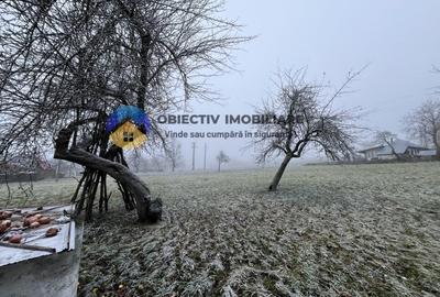 Casa si teren 3054 mp - Negresti - 15