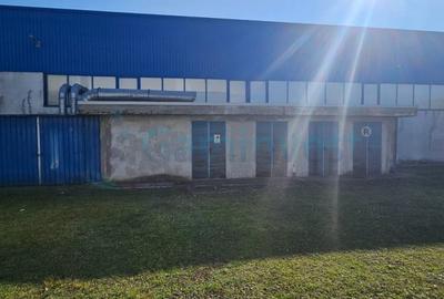 Spațiu industrial, de 6,227 mp, în Homorog - 12