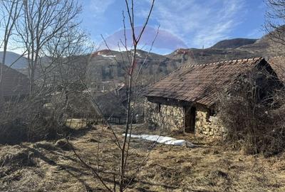 Casă cu 2 camere cu Teren 1884 Mp în Izvoarele (Livezile) - 14