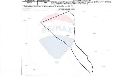 Teren intravilan de 49000 mp, în Borca - 19