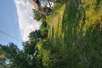 Casa batraneasca cu teren in sat Schitu Scoicesti, com Leordeni, Arge? - 8