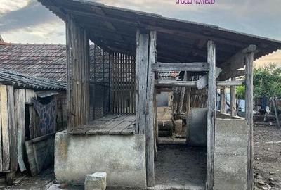 Casa in localitatea Ianosda - 8