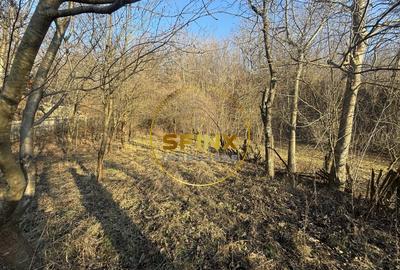 Casa moderna 5 camere Drajna de Sus,  teren generos si pomi fructiferi - 24