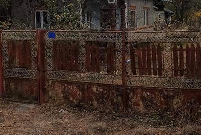 Casă cu 4 camere cu Teren 4000 Mp în Mătăsaru - 6