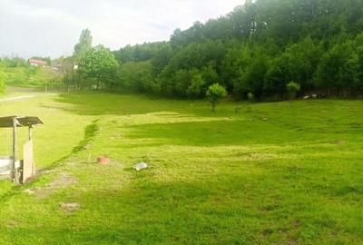 Teren de 5500 mp, în Drăganu - 2