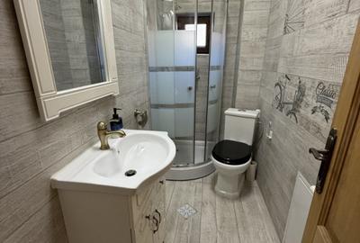 EROU IANCU NICOLAE STRADAL  | VILA IDEALA PENTRU COMERCIAL SAU REZIDENTIAL - 28